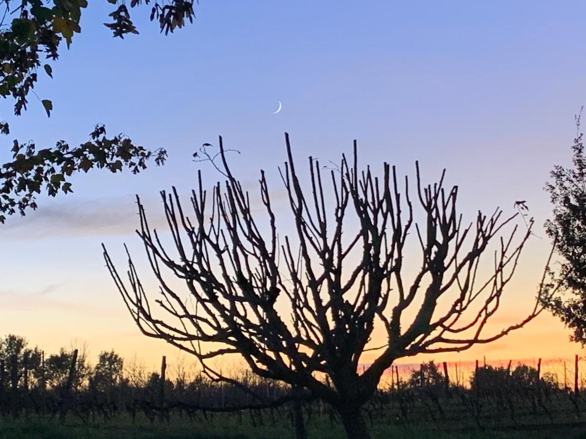 Majellon, Appartement à l‘ouest Sainte-Christie-d'Armagnac Esterno foto